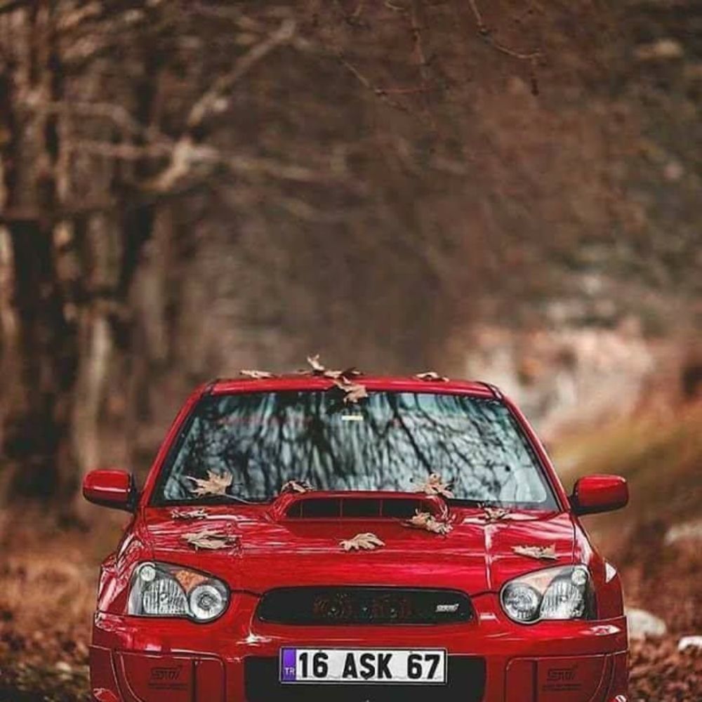 Meet your Posher, Edgar